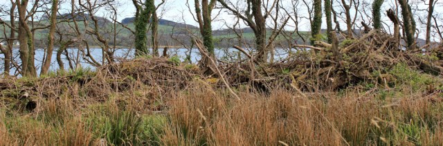 48 where's the sea, St Mary's Isle, Ruth hiking to Kirkcudbright
