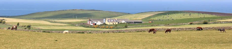 near Kirkcolm, Ruth Livingstone