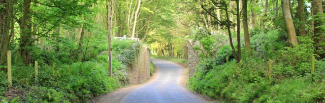 02 minor road to Portpatrick, Ruth's coatal walk, The Rhins, Galloway, Scotland