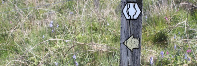 04 logo for Southern Upland Way, Ruth's coastal walk, Galloway, Scotland