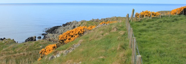 09 difficult path, Ruth walking the coast in Dumfries and Galloway, Scotland
