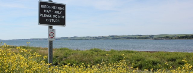 10 Birds Nesting sign, The Wig, Stranraer, Ruth's coastal walk, Scotland, Galloway