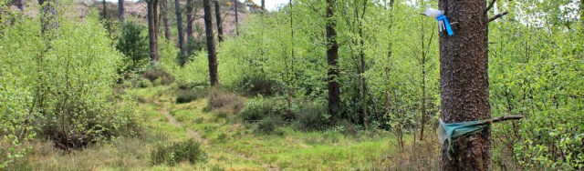 14 signs to the dunes, Ruth's coastal walk, Scotland Luce Sands