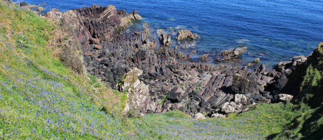 16 bluebells, rocks and sea, Ruth Livingstone hiking in Scotland