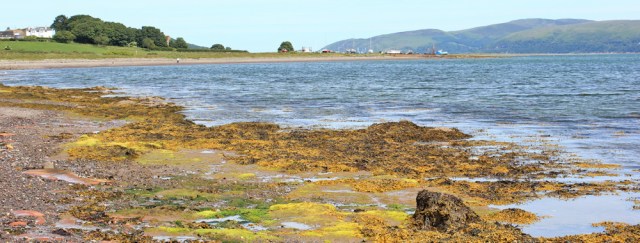 18 vibrant shore, Loch Ryan, Ruth's coastal walk, Stranraer