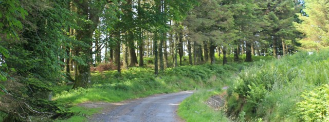 19 old coach road to Ayr, Ruth hiking the Mull of Galloway Trail