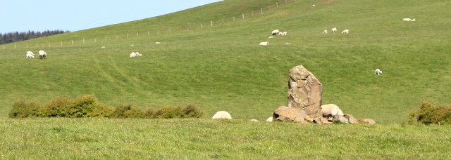19 standing stone, Knock and Maize, Ruth Livingstone