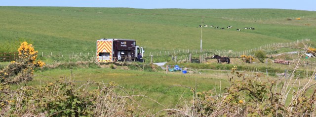 20 recycling van again, Ruth Livingstone