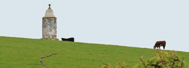 21 Marian Tower, Ruth's coastal walk, The Rhins, Galloway