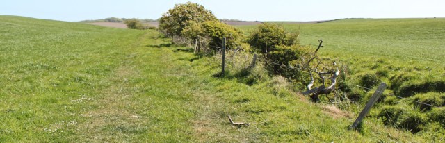 21 path along field, Ruth walking core path to Ardwell