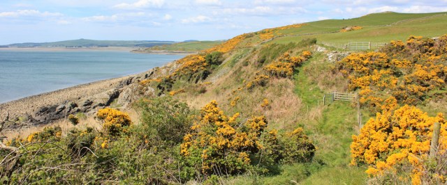 24 Ruth's coastal walk, approaching Stairhaven, Galloway, Scotland