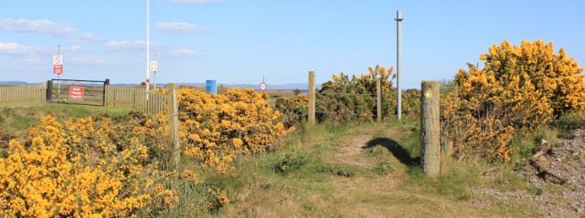 25 path along edge of Danger Area, Mull of Galloway Trail, Ruth hiking in Scotland