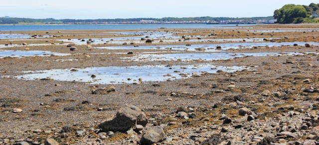 25 walking to Stranraer, Ruth hiking the Scottish coast