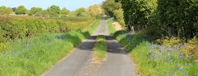 27 Ruth Livingstone hiking in Scotland