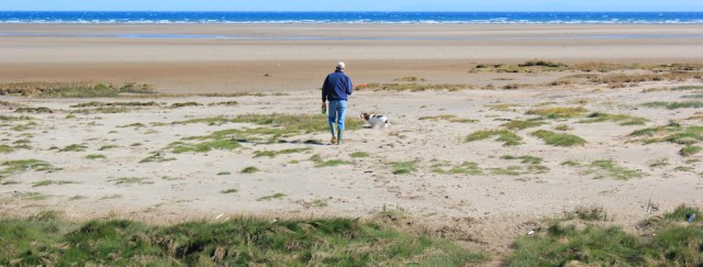 27 springer spaniel, Luce Sands, Ruth walking the Galloway coast, Scotland