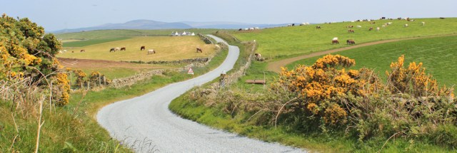 29 road to Kirkcolm, Ruth's coastal walk, The Rhins, Galloway