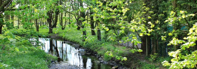 29 Water of Luce, Ruth's coastal walk, Galloway, Scotland