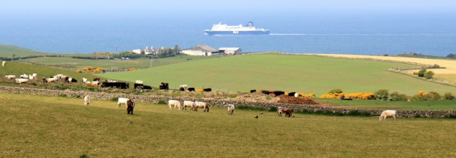 30 ferry to Ireland, Ruth's coastal walk, The Rhins, Galloway
