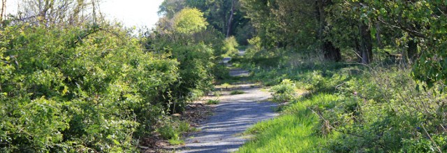 30 Grennan Plantation, Ruth hiking the Mull of Galloway Trail