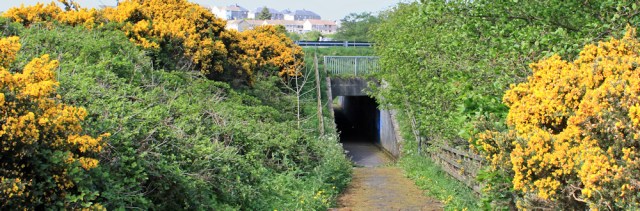 30 underpass to Glenluce, Ruth hiking in Dumfries and Galloway, Scotland