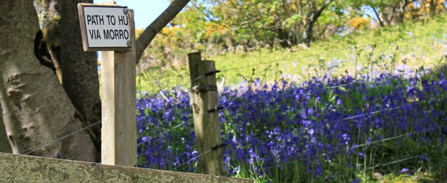 31 path to where, Ruth hiking through The Rhins, Galloway, Scotland