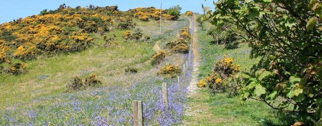 32 path up hill, Ruth hiking to Portpatrick, Galloway, Scotland
