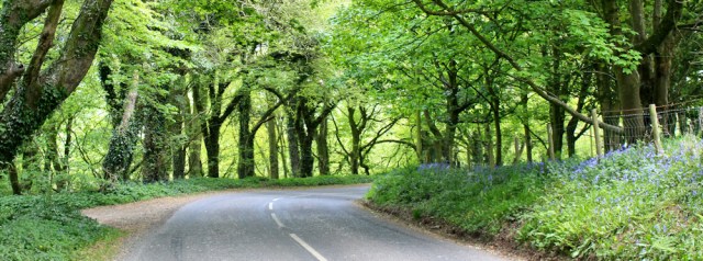 34 Kirkcolm woods, Ruth's coastal walk, The Rhins, Galloway