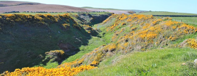 36 dry valley, Ruth walking the Mull of Galloway Trail, Scotland