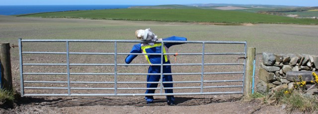 37 scarecrow Ruth's coastal walk, The Rhins, Scotland