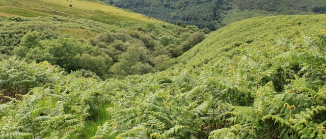 38 mull of galloway trail, Ruth Livingstone, Scotland