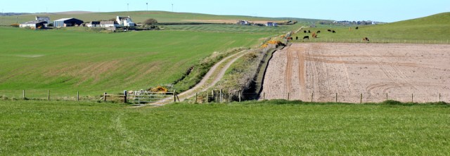 38 track leading up to East Cairngaan, Ruth's coastal walk, Galloway