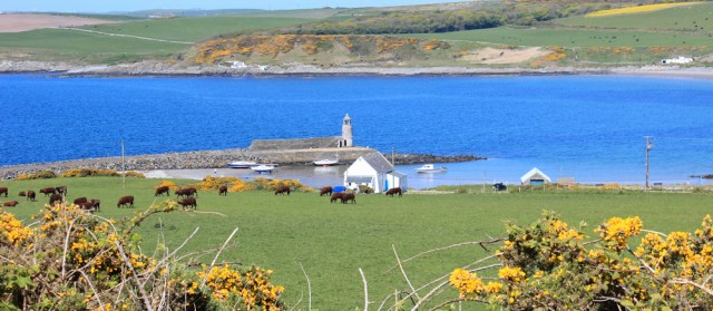 41 Port Logan pier, Ruth's coastal walk, The Rhins, Scotland