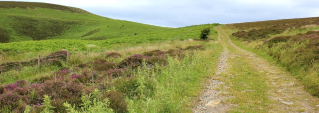 07 up Sandloch Hill, Ruth hiking in Scotland, Ayrshire Coastal Path