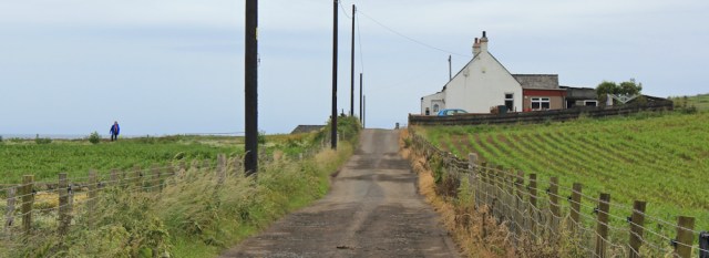 16 farm track, Gallow Hill, Ruth Livingstone walking the Ayrshire Coastal Path