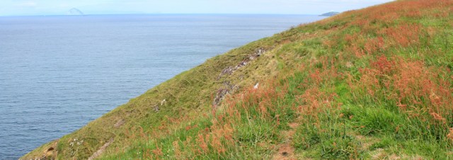 20 cliff top walk, to Ballantrae, Ruth Livingstone in Scotland
