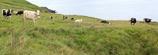 25 cliff edge walk, Ruth hiking the Ayrshire Coastal Path, Scotland