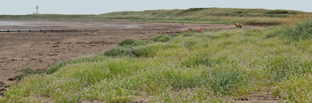 31 figures ahead, Ruth hiking the Ayrshire Coastal Path, Scotland