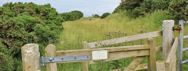 34 old railway line to Heads of Ayr, Ruth trekking in Scotland