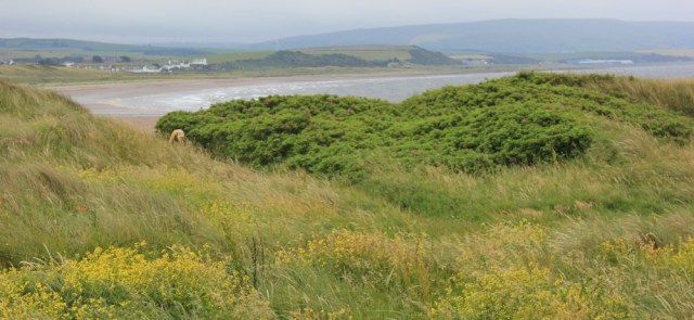 36 looking back toTurnberry, Ruth hiking the Ayrshire Coastal Path, Scotland