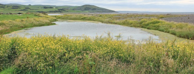 41 Ballantrae, Ruth hiking the Ayrshire Coastal Path, Scotland