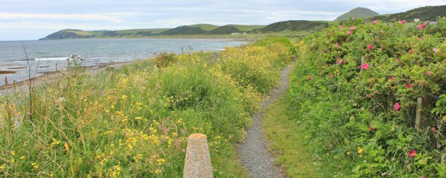 Ballantrae, Ruth Livingstone on her coastal trek, Scotland