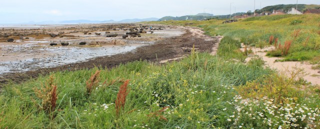 02 Ruth walking from Ardrossan to West Kilbride, hiking the coast of Scotland
