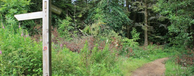03 Arran Coastal Way, alternative route, Ruth hiking in Scotland