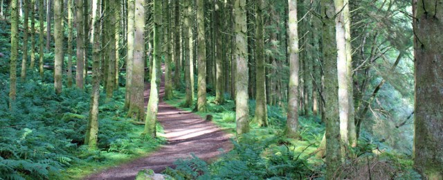 07 path up to Glenashdale waterfall, Ruth hiking on the Isle of Arran, Scotland