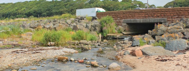 08 A78 Eglington Road to West Kilbride, Ruth hiking the Scottish Coast