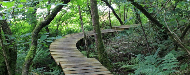 09 board walk, Lamlash Bay, Ruth hiking the Arran Coastal Way, Scotland