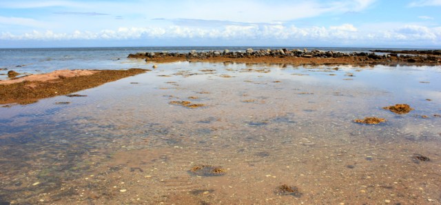 10 clear sea, Ruth hiking from Brodick to Lamlash, Isle of Arran