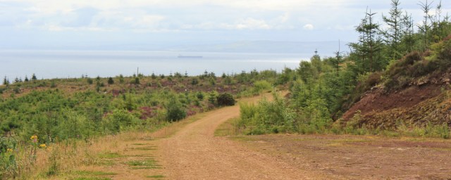 11 logging track, core path towards Giants Graves, Whiting Bay, Ruth Livingstone