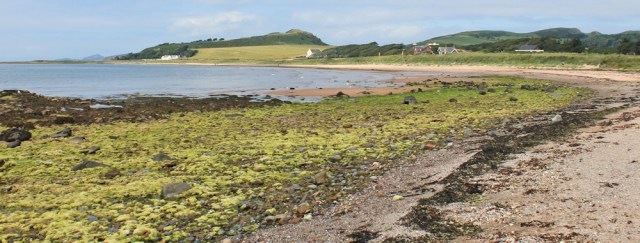 15 Ruth walking the beach from West Kilbride to Portencross, Scotland, Ayrshire Coastal Path