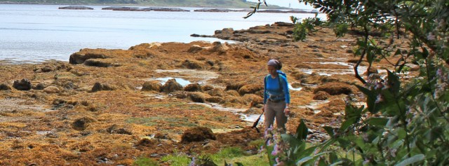 16 walker on shore, Ruth hiking the Arran Coastal Way, Scotland